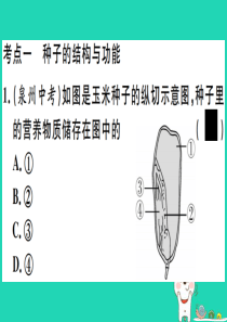 2019春八年级生物下册 专题三 绿色开花植物的一生习题课件 （新版）新人教版