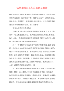 试用期转正工作总结范文银行