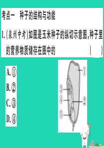 2019春八年级生物下册 专题复习三 绿色开花植物的一生习题课件 （新版）北师大版
