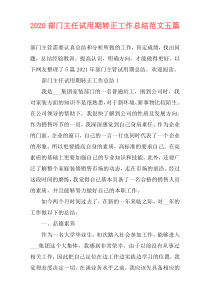 2021部门主任试用期转正工作总结范文五篇