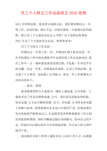 员工个人转正工作总结范文2021范例