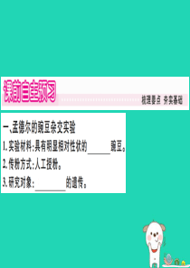2019春八年级生物下册 第七单元 第二章 第三节 基因的显性和隐性习题课件 （新版）新人教版