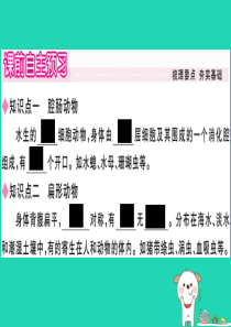 2019春八年级生物下册 第7单元 第22章 第4节 动物的主要类群（第1课时 无脊椎动物）习题课件