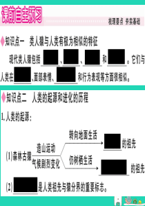 2019春八年级生物下册 第7单元 第21章 第3节 人类的起源与进化习题课件 （新版）北师大版