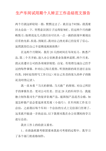 生产车间试用期个人转正工作总结范文报告