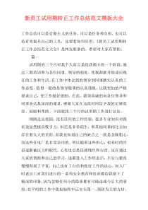 新员工试用期转正工作总结范文模板大全