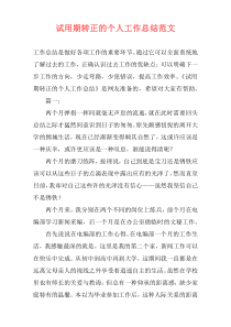 试用期转正的个人工作总结范文
