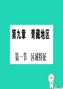 2019春八年级地理下册 第9章 第1节 区域特征习题课件 （新版）商务星球版