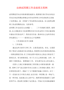 出纳试用期工作总结范文范例