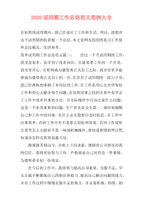 2021试用期工作总结范文范例大全