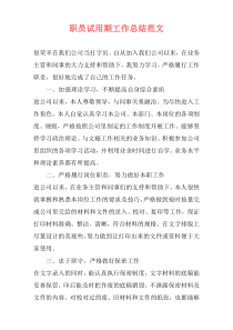 职员试用期工作总结范文