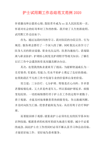 护士试用期工作总结范文范例2021