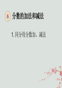 2019版五年级数学下册 6 分数的加法和减法 6.1 同分母分数加、减法教学课件 新人教版