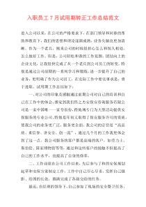 入职员工7月试用期转正工作总结范文