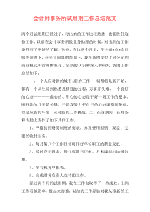 会计师事务所试用期工作总结范文