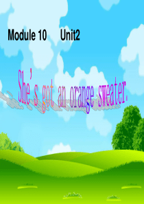 2019版三年级英语下册 Module 10 Unit 2 She’s got an orange 
