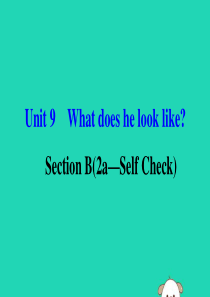 2019版七年级英语下册 Unit 9 What does he look like Section