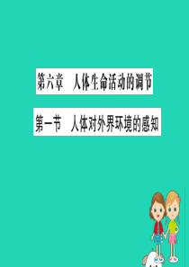 2019版七年级生物下册 第四单元 生物圈中的人 第六章 人体生命活动的调节 1 人体对外界环境的感