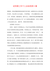 试用期工作个人总结范例5篇