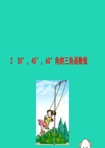 2019版九年级数学下册 第一章 直角三角形的边角关系 2 30°，45°，60°角的三角函数值教学