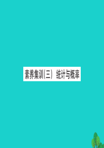 2019版二年级数学下册 总复习 素养集训（三）统计与概率习题课件 北师大版