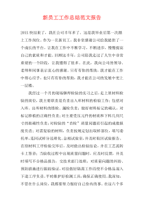 新员工工作总结范文报告