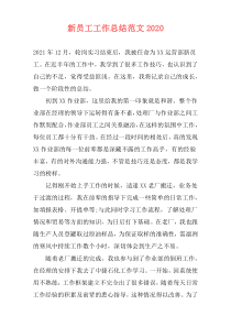 新员工工作总结范文2021