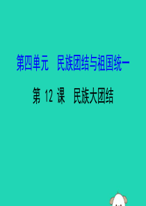 2019版八年级历史下册 第四单元 民族团结与祖国统一 4.12 民族大团结教学课件 新人教版