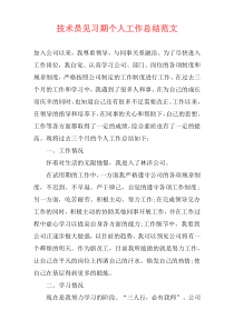 技术员见习期个人工作总结范文