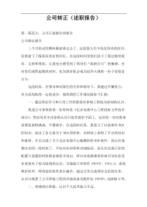 公司转正（述职报告）