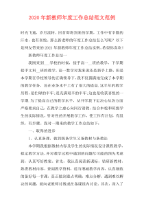2021年新教师年度工作总结范文范例