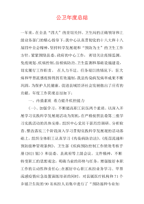 公卫年度总结