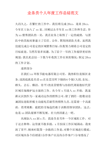 业务员个人年度工作总结范文