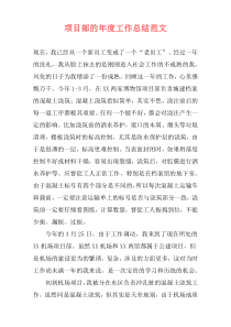 项目部的年度工作总结范文