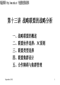 战略联盟的战略分析（PPT49页）