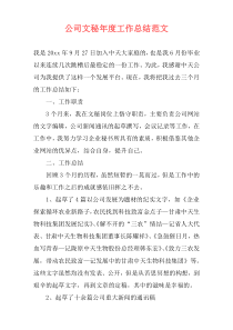 公司文秘年度工作总结范文