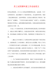 员工试用期年度工作总结范文