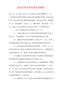信用社财务部年度总结概况