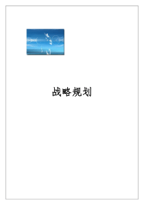 战略规划全过程（DOC 364页）