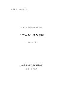 战略规划初稿