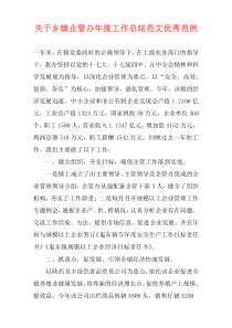 关于乡镇企管办年度工作总结范文优秀范例