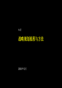 战略规划流程与方法-麦肯锡