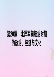 2019-2020学年新教材高中历史 第六单元 辛亥革命与中华民国的建立 第20课 北洋军阀统治时期