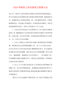 2021年财务工作总结范文范例大全