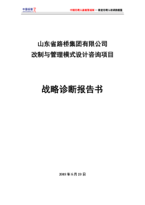 战略诊断报告书(1)