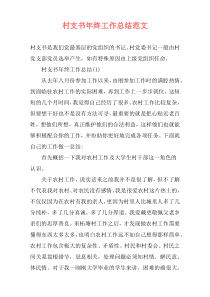 村支书年终工作总结范文