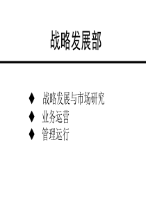 战略部流程（last）