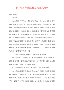 个人项目年度工作总结范文范例
