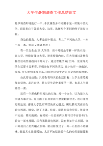 大学生暑期调查工作总结范文