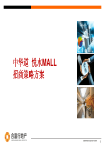 招商策略方案